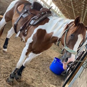 Meet your Posher, Dominique